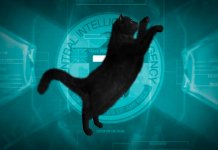 10 animaux espions utilisés à des fins de renseignement