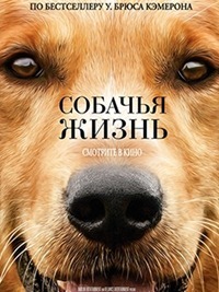 La vie d'un chien (2017)