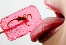 Le bonbon le plus dégoûtant du monde