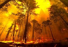 Les régions les plus inflammables de la Russie
