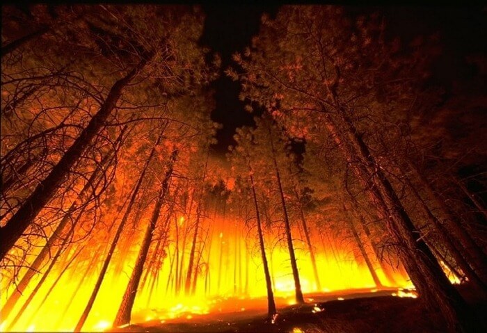 Feu de forêt République de Bouriatie