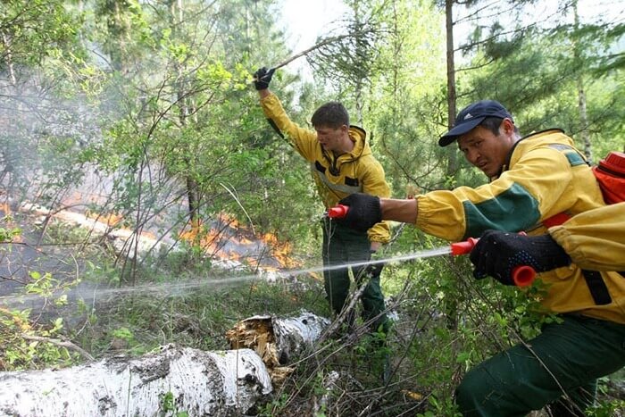 Forêt d'extinction de la République de Touva