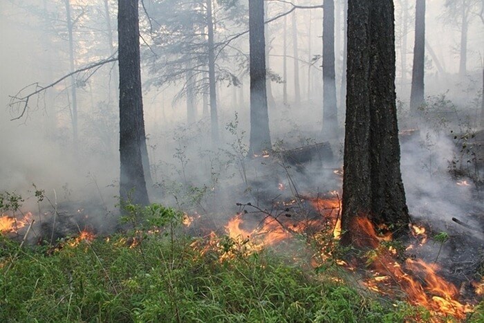 Incendies de forêt dans la région d'Irkoutsk