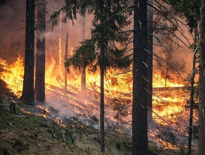 Région de Krasnoïarsk