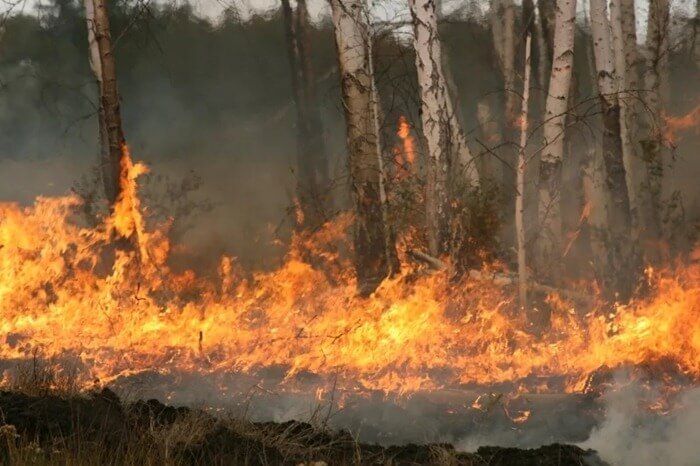 La région de Kurgan en feu