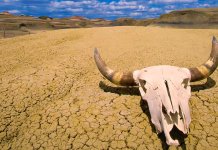 10 endroits les plus chauds sur terre: là où la température est la plus élevée