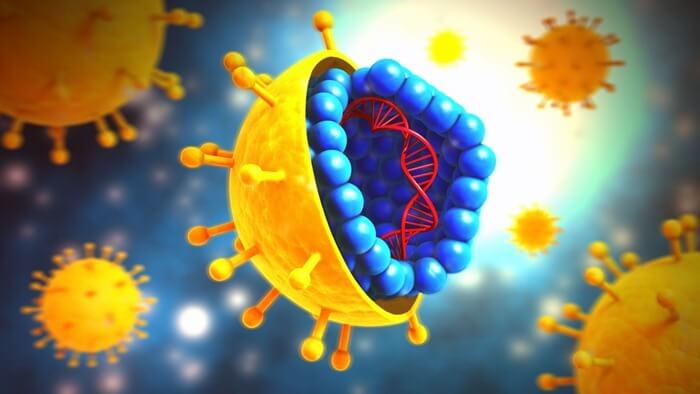 Virus GB C