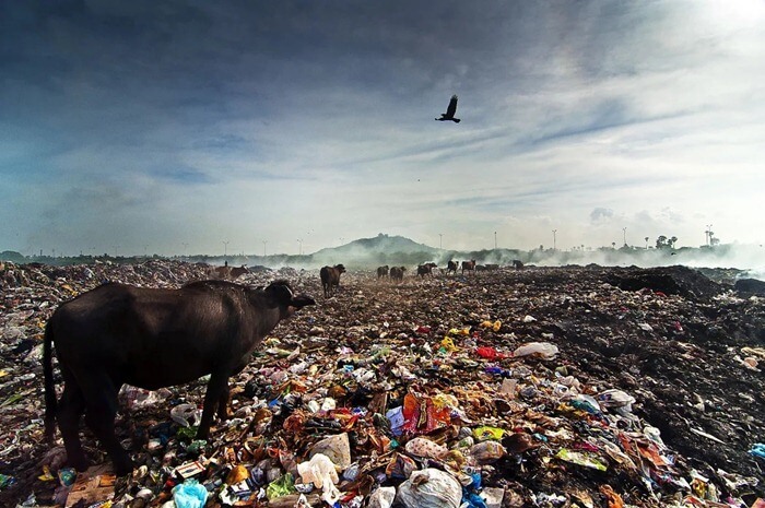 Delhi