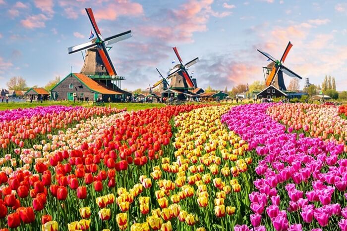 Amsterdam3