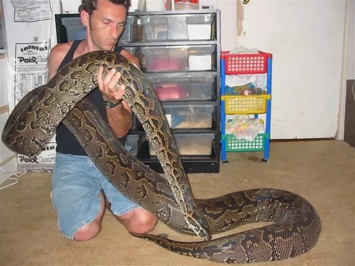 Python de hiéroglyphe