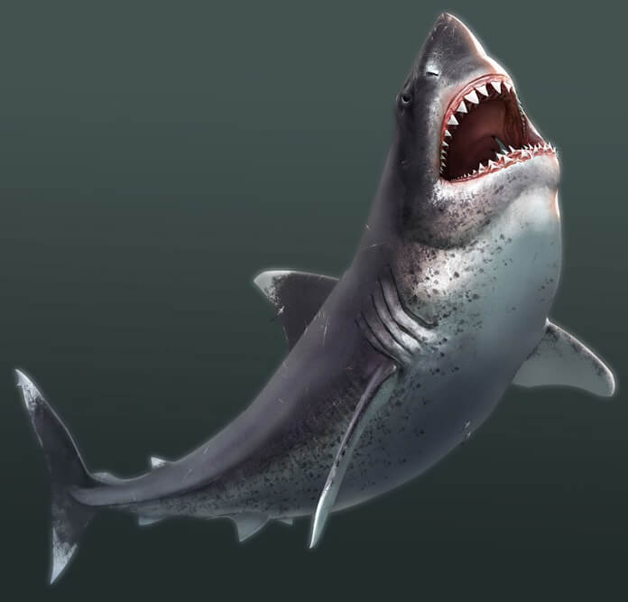 À quoi ressemblait Megalodon
