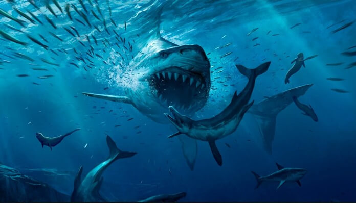 Mégalodon