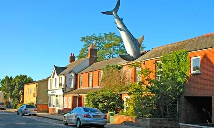 Attaque de requin à la maison