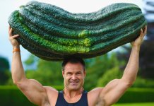 10 plus gros légumes et fruits du monde