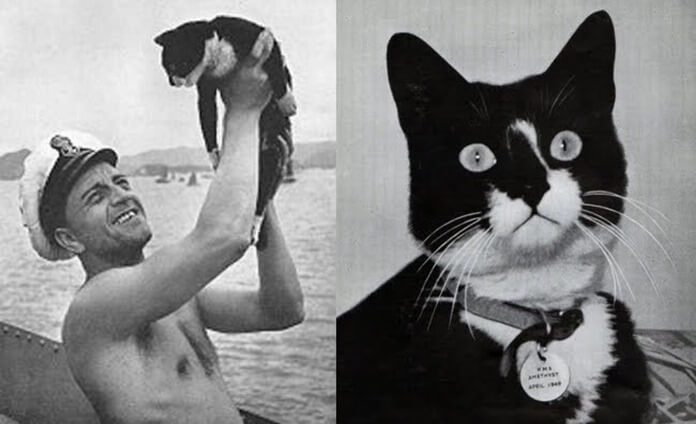 Sam le chat insubmersible