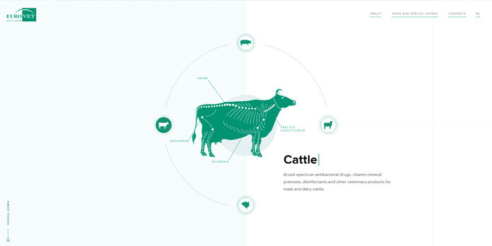 EUROVETFARM