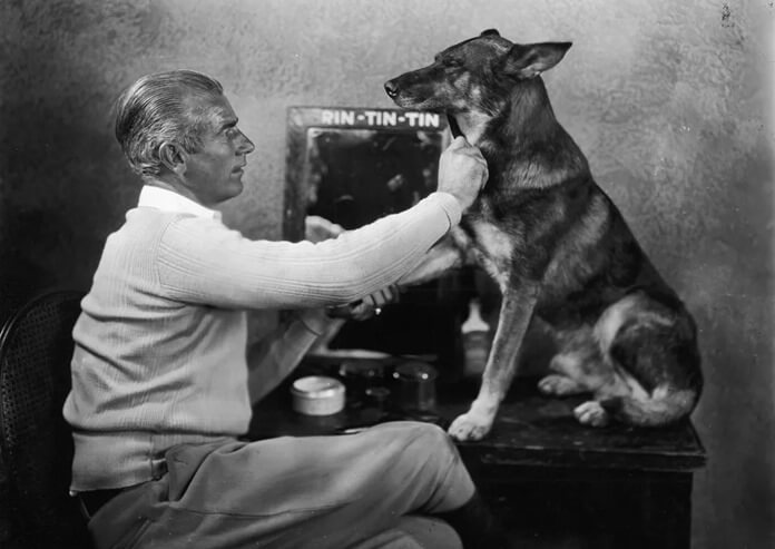 Rin Tin Tin le chien