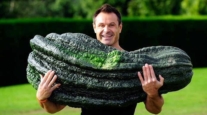 Courgettes géantes pesant près de 50 kg cultivées à Harrogate britannique
