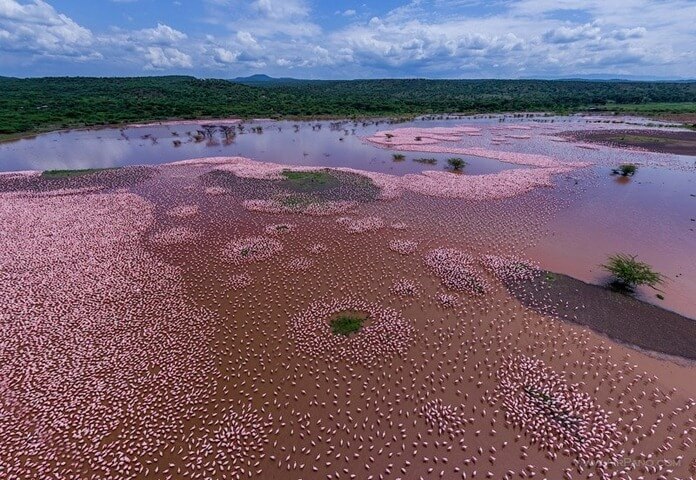 Lac Nakuru