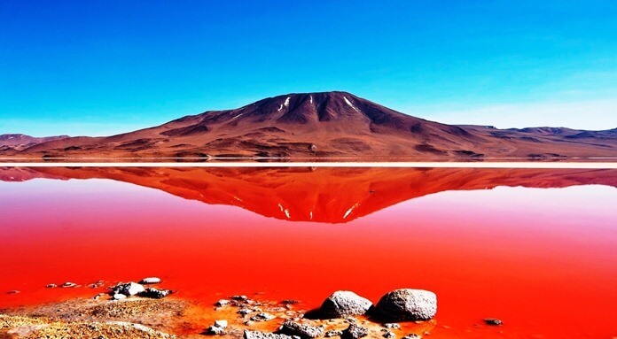 Laguna Colorado - lac écarlate