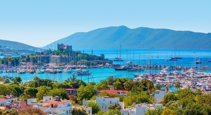 oit1yaz42