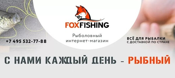 Pêche au renard
