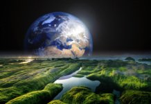 Terre
