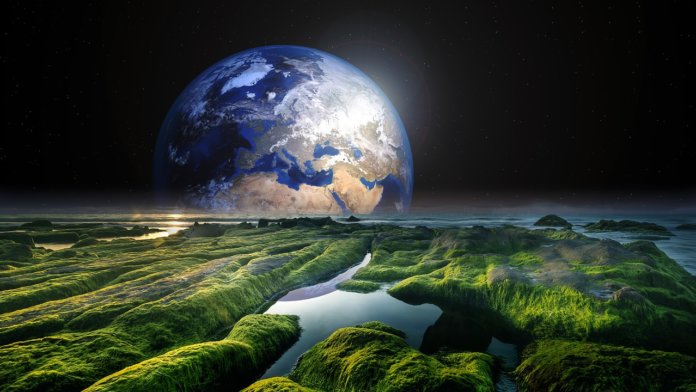 Terre