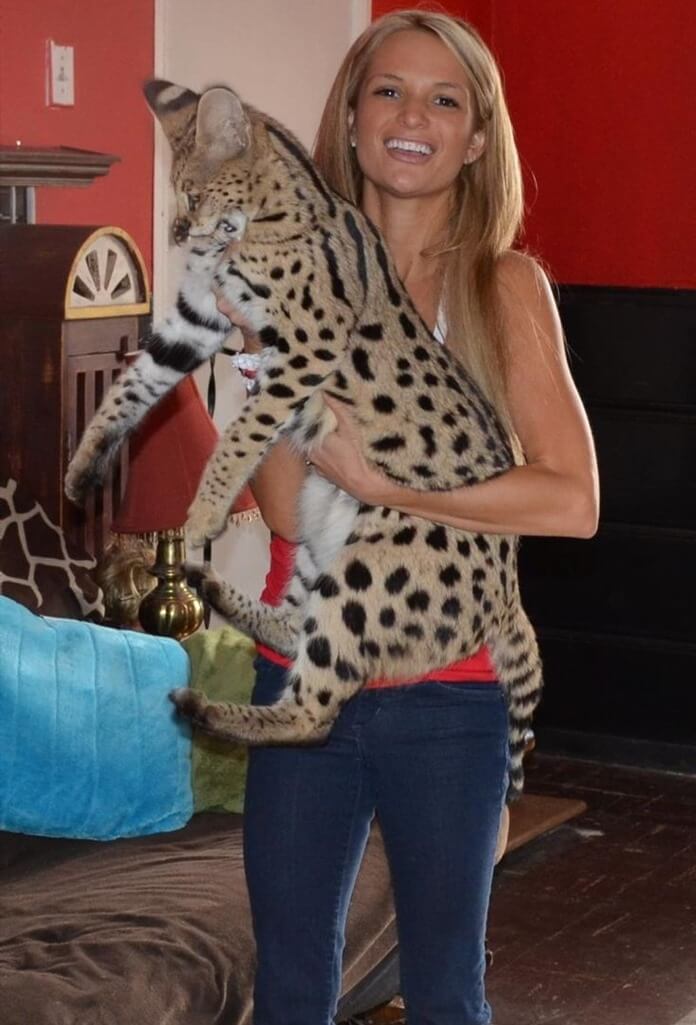 Grande savane, taille par rapport à l'homme
