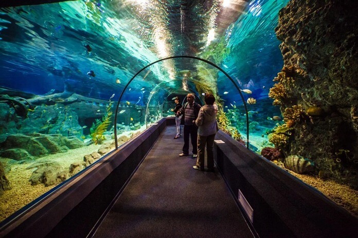 Aquarium mondial de découverte de Sotchi