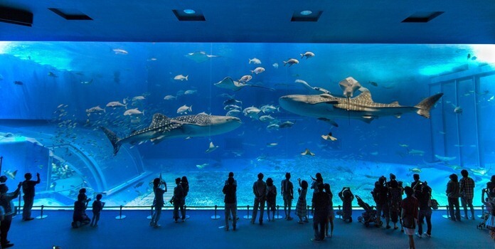 Aquarium Churaumi d'Okinawa