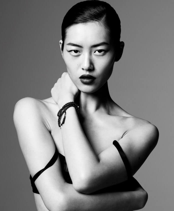 Modèle Liu Wen