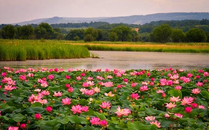 Lac Lotosov, le plus beau lac de Russie