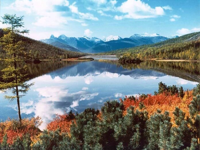 Lac Jack London