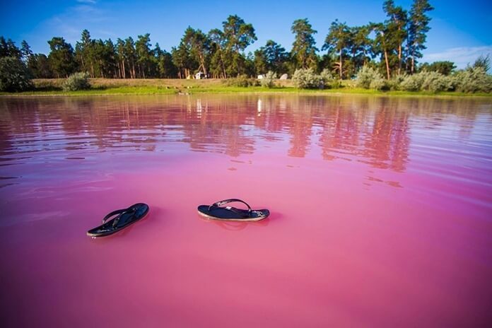 Lac aux framboises