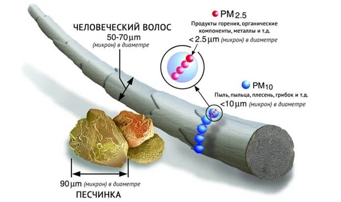 PM 10 et PM 2.5