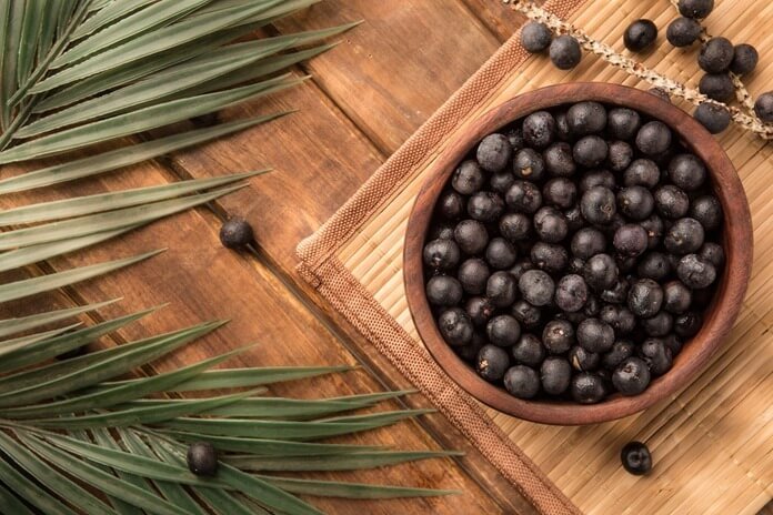 Baies d'açai