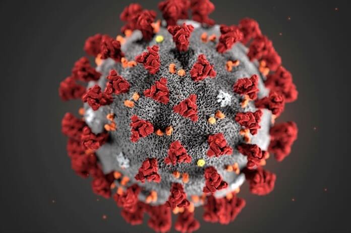 À quoi ressemble le virus 2019-nCoV