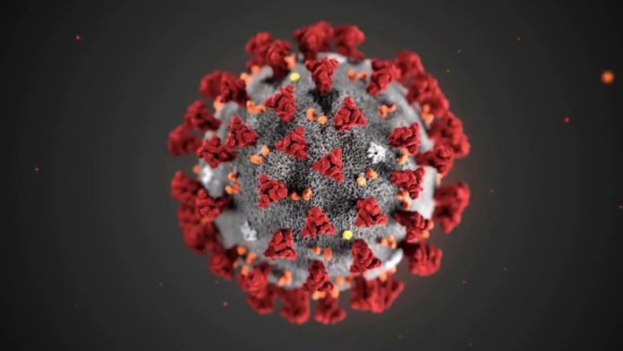 Coronavirus Covid-2019 (2019-nCov)