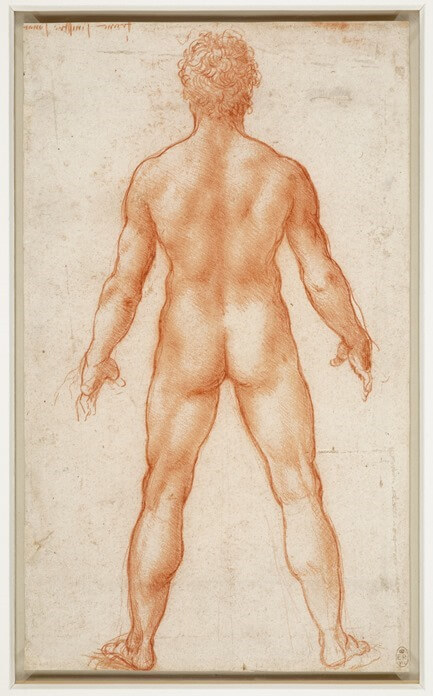 Leonardo da Vinci Homme nu debout Léonard de Vinci, homme nu debout